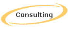 Consulting